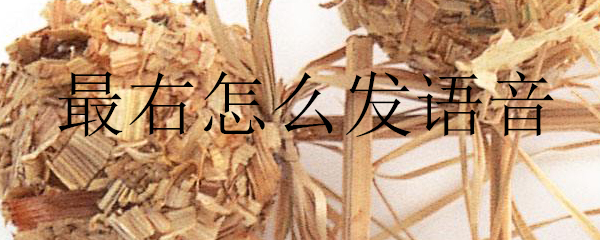 最右语音如何发送？语音发布流程介绍_