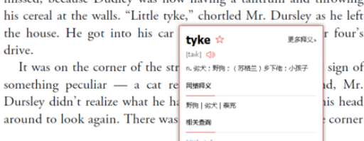 有道词典怎样实现脱网查询？设置脱网查询流程介绍_