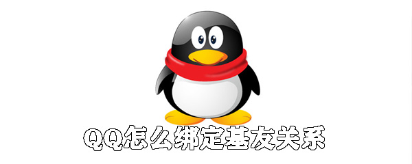 QQ基友关系如何进行绑定？QQ基友关系绑定流程图文介绍_