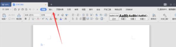 wps文档怎么设计带对号的圆？带对号的圆设计方法分享_