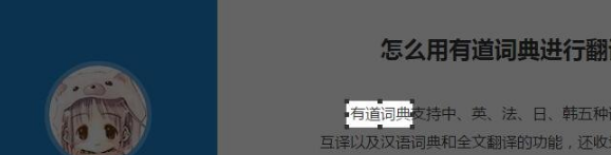 有道词典截屏翻译如何操作？截屏翻译操作方法介绍_