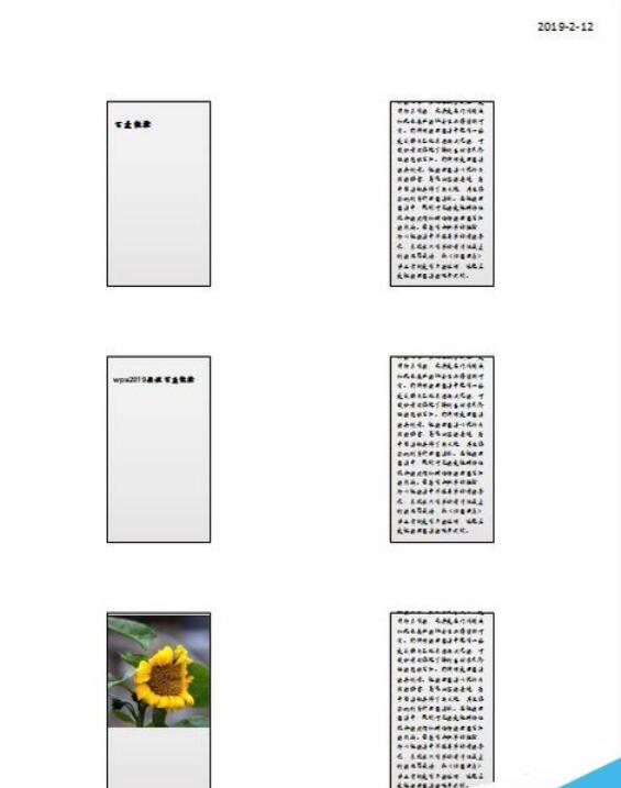 wps2019如何把多个幻灯片打印到一张纸上？将多个幻灯片打印到一张纸上教程分享_