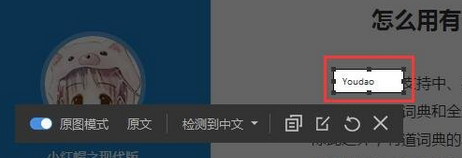 有道词典截屏翻译如何操作？截屏翻译操作方法介绍_