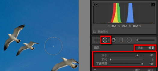 Lightroom污点去除怎么操作？污点去除功能使用方法介绍_