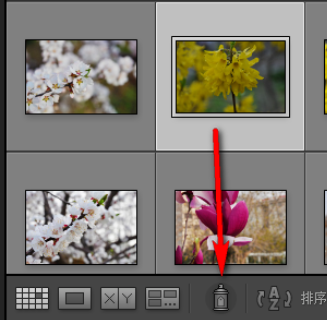 Lightroom怎么给照片加上关键字？为照片添加关键字方法介绍_