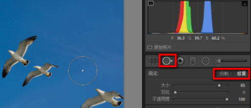 Lightroom污点去除怎么操作？污点去除功能使用方法介绍_