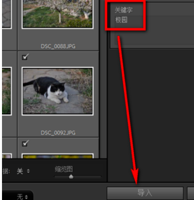 Lightroom怎么给照片加上关键字？为照片添加关键字方法介绍_