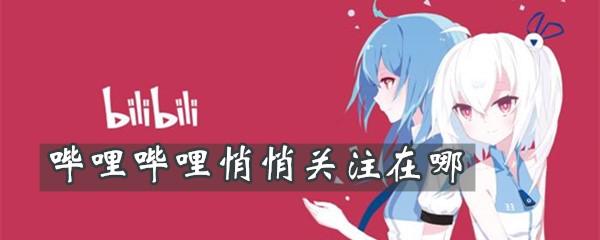 哔哩哔哩悄悄关注怎么操作？设置悄悄关注方法介绍