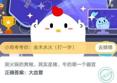 涮火锅的黄喉其实是猪牛的哪一个器官？支付宝蚂蚁庄园答题分享