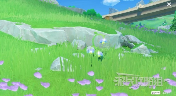 《原神》柔灯铃位置及获取方法 4.0柔灯铃怎么获得
