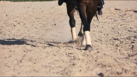 《刺客信条》ANIMUS官网上线 沉浸式体验刺客人生