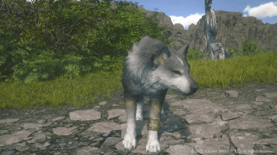 《最终幻想16》狼犬实机展示：动画效果丰富