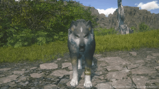 《最终幻想16》狼犬实机展示：动画效果丰富