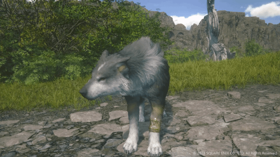 《最终幻想16》狼犬实机展示：动画效果丰富