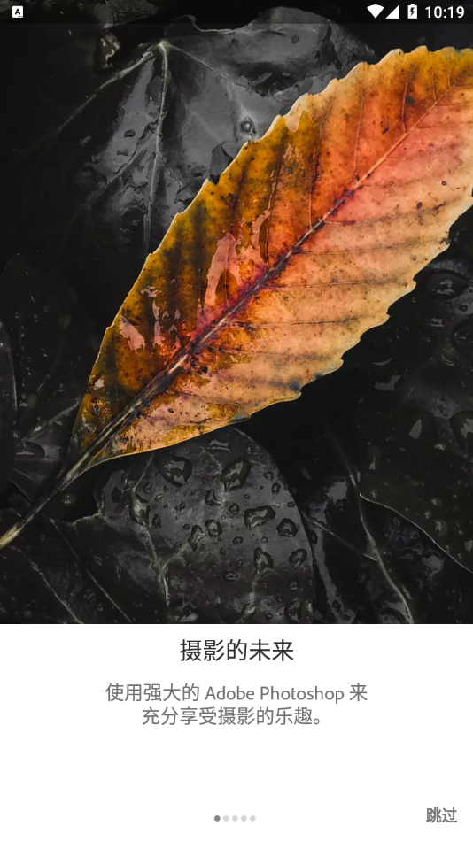 lightroom 安卓APP亮点