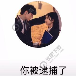 偷心盗贼什么意思
