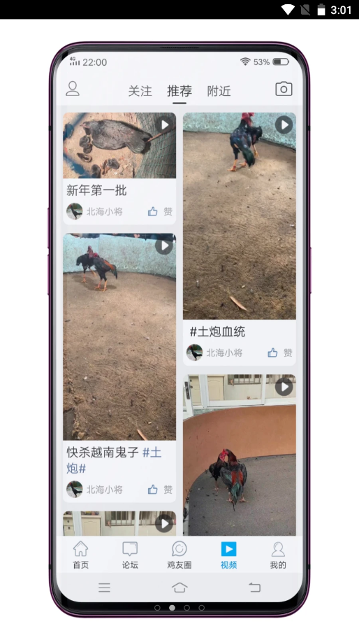 中国斗鸡论坛APP特色
