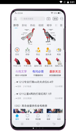 中国斗鸡论坛APP优势