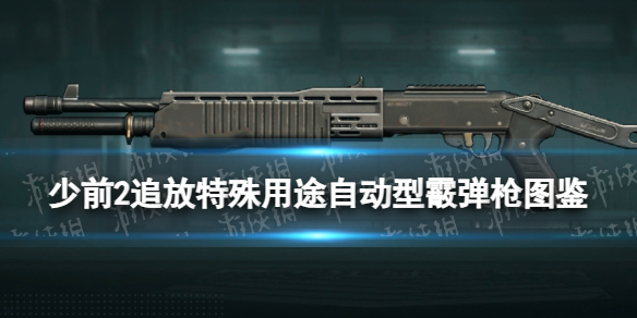 《少女前线2追放》特殊用途自动型霰弹枪图鉴