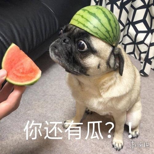 吃瓜表情包24