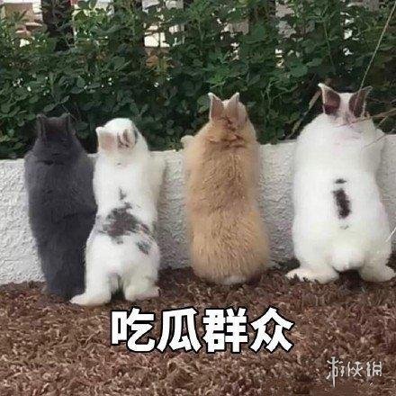吃瓜表情包3
