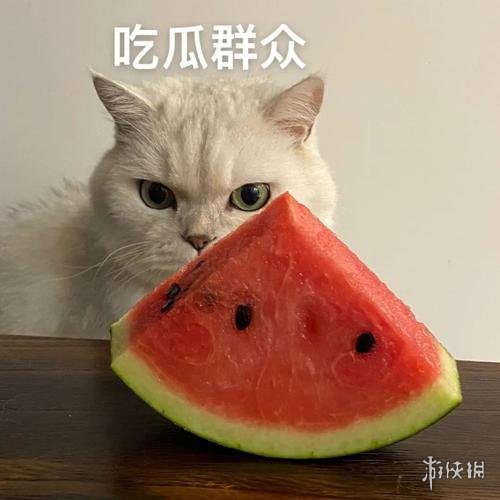 吃瓜表情包17
