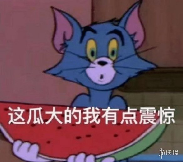 吃瓜表情包22