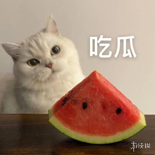 吃瓜表情包20