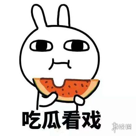 吃瓜表情包19