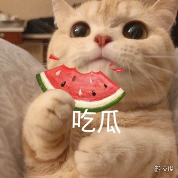 吃瓜表情包21