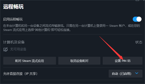 steam流式传输PIN码怎么设置-steam流式传输PIN码设置教程