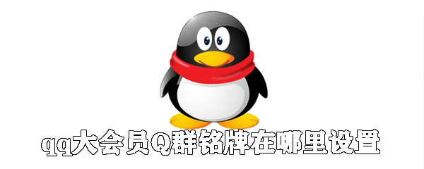 qq大会员Q群铭牌如何设置？qq大会员Q群铭牌设置流程图文介绍_