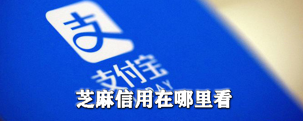 芝麻信用分在哪查看？芝麻信用分查看流程图文详解_