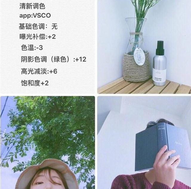 VSCO滤镜怎么用_滤镜使用步骤介绍_