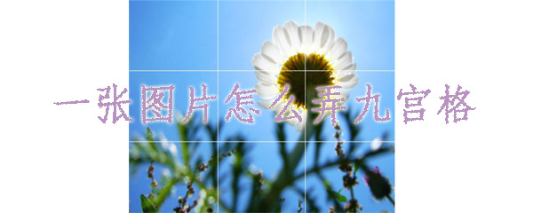 美图秀秀怎么制作九宫格图片_制作步骤详细介绍_