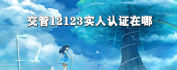 交管12123怎样进行实名认证？实名认证流程图文详解_