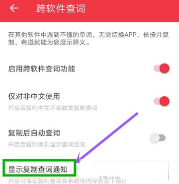 网易有道词典怎么开启复制后自动查词_自动查词步骤流程解析_