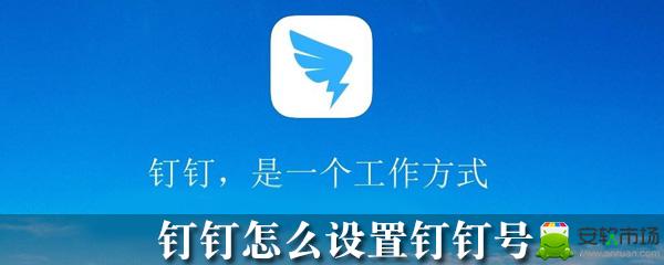钉钉在哪设置钉钉号_钉钉号设置方法图文详解_