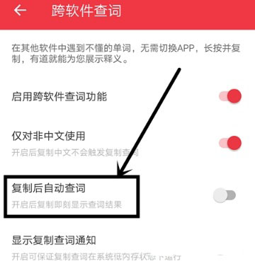 网易有道词典怎么开启复制后自动查词_自动查词步骤流程解析_