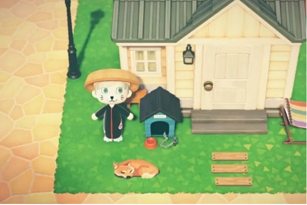 《森之国度》跟从的猫换取方法介绍一览