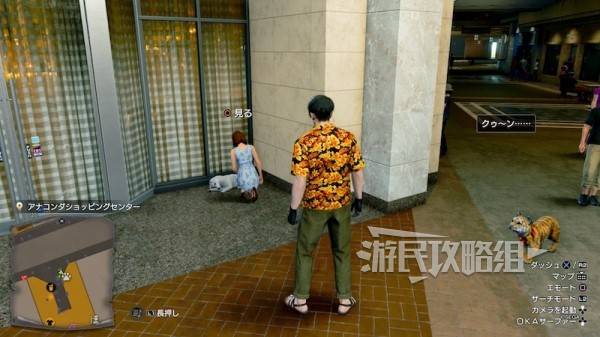 《如龙8外传夏威夷海盗》吾朗王国全动物位置一览 救护动物在哪