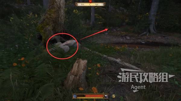 《天国拯救2》罗莎的书支线任务攻略 罗莎的书支线怎么做