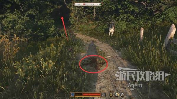《天国拯救2》战火蹂躏支线攻略 战火蹂躏支线怎么做