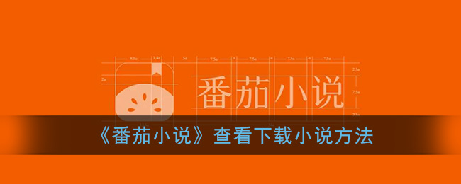 《番茄小说》查看下载小说方法