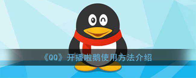 《QQ》开播啦鹅使用方法介绍