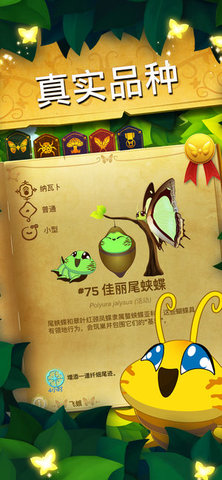 彩翼蝴蝶保护区游戏特色