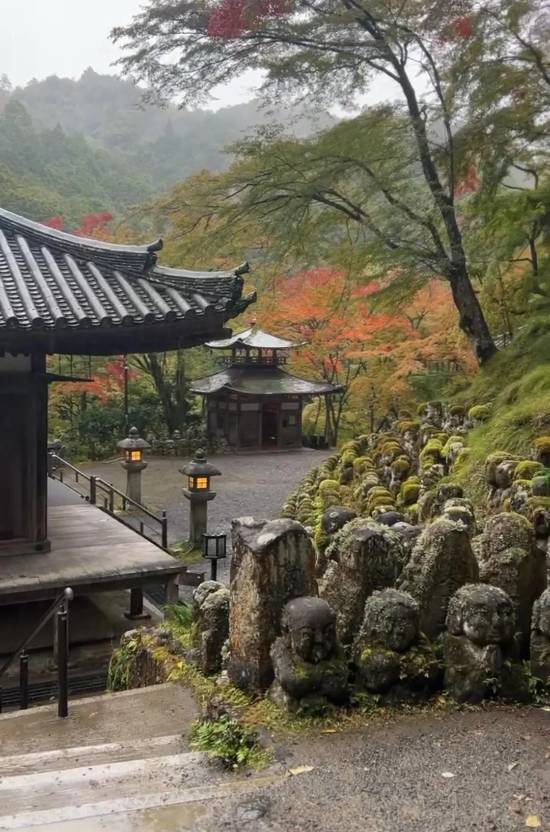 《AC影》竟成慰藉！玩家因游戏圆梦“重返”日本