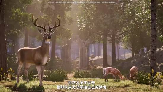 《上古卷轴4re》正式公布！remastered但却叫重制！