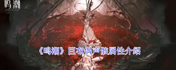 鸣潮2.1巨布偶声骸属性是什么