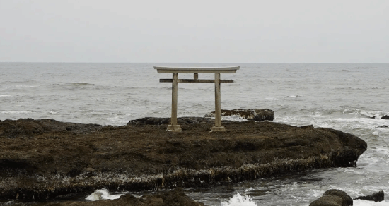 为还原日本文化下了大功夫！《羊蹄山》新增采菜玩法